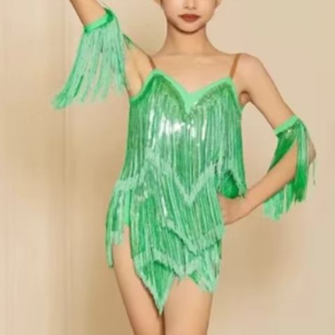 Novo Vestido de Dança Latina p - Outdoor Sport Dress avaliação e preço