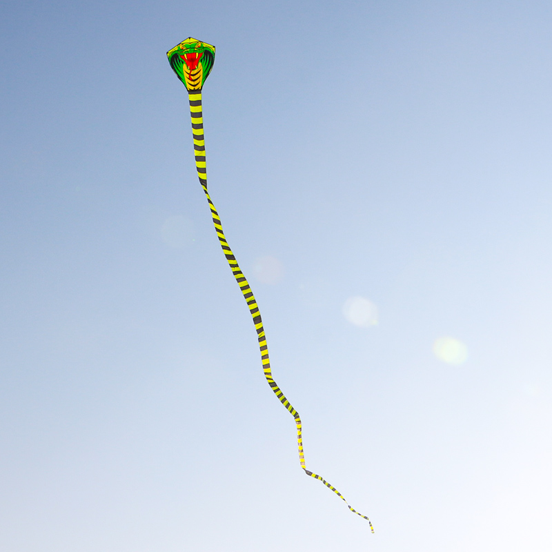 Paradise Bird 8m/15m Snake Kit - Outdoor Sport Outlet avaliação e preço
